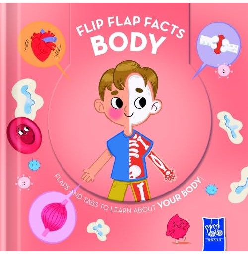 Flip-Flap Facts: Body