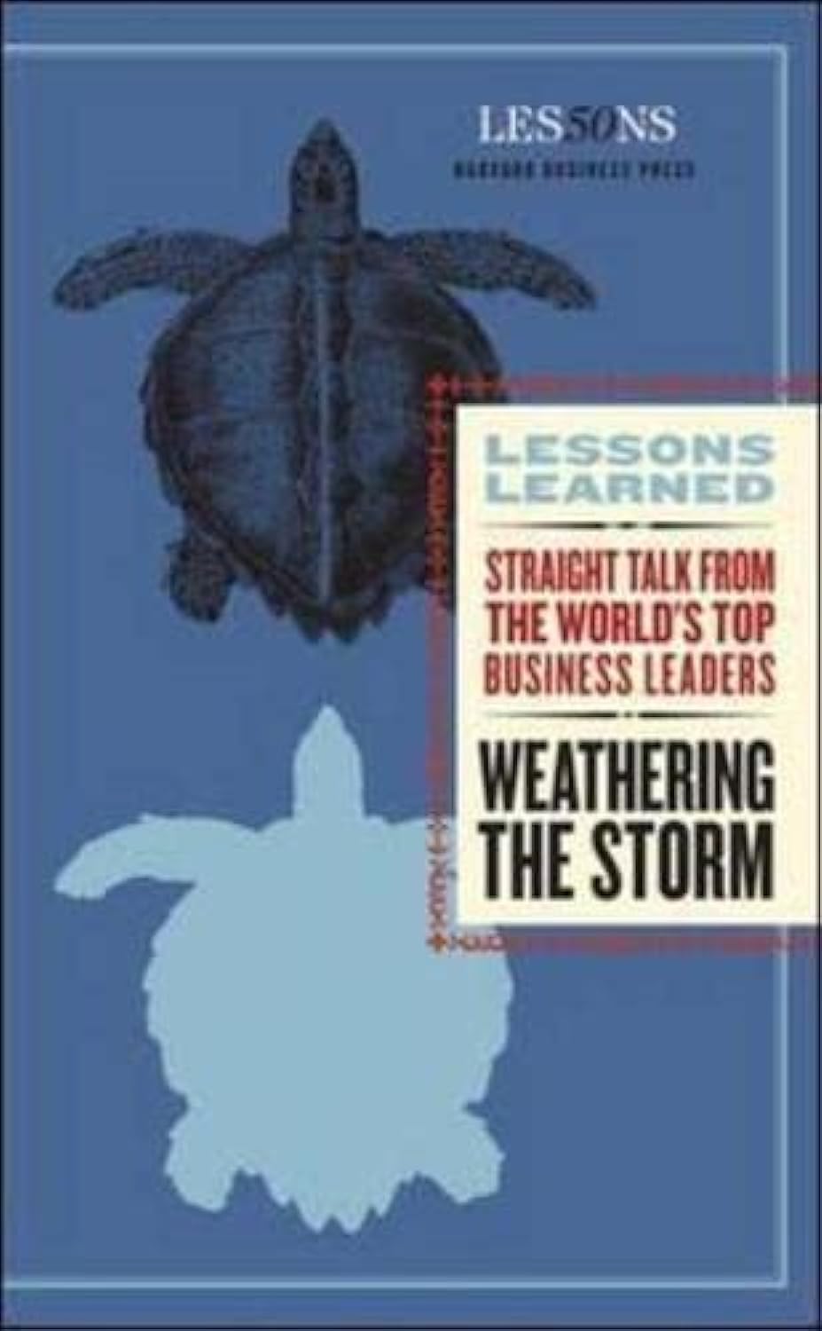 Weathering The Storm