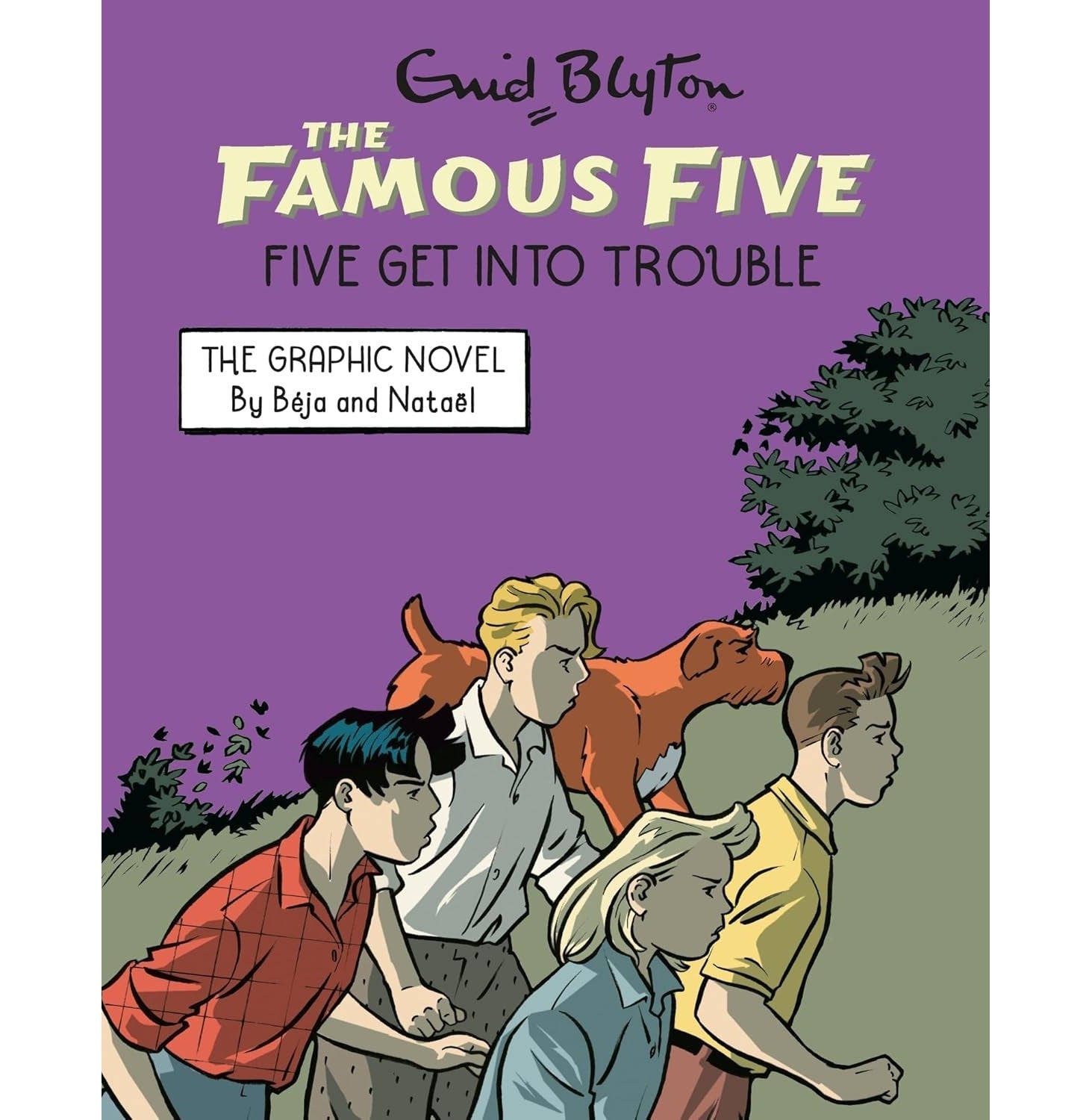 Famous Five Graphic Novel: Five Get Into Trouble