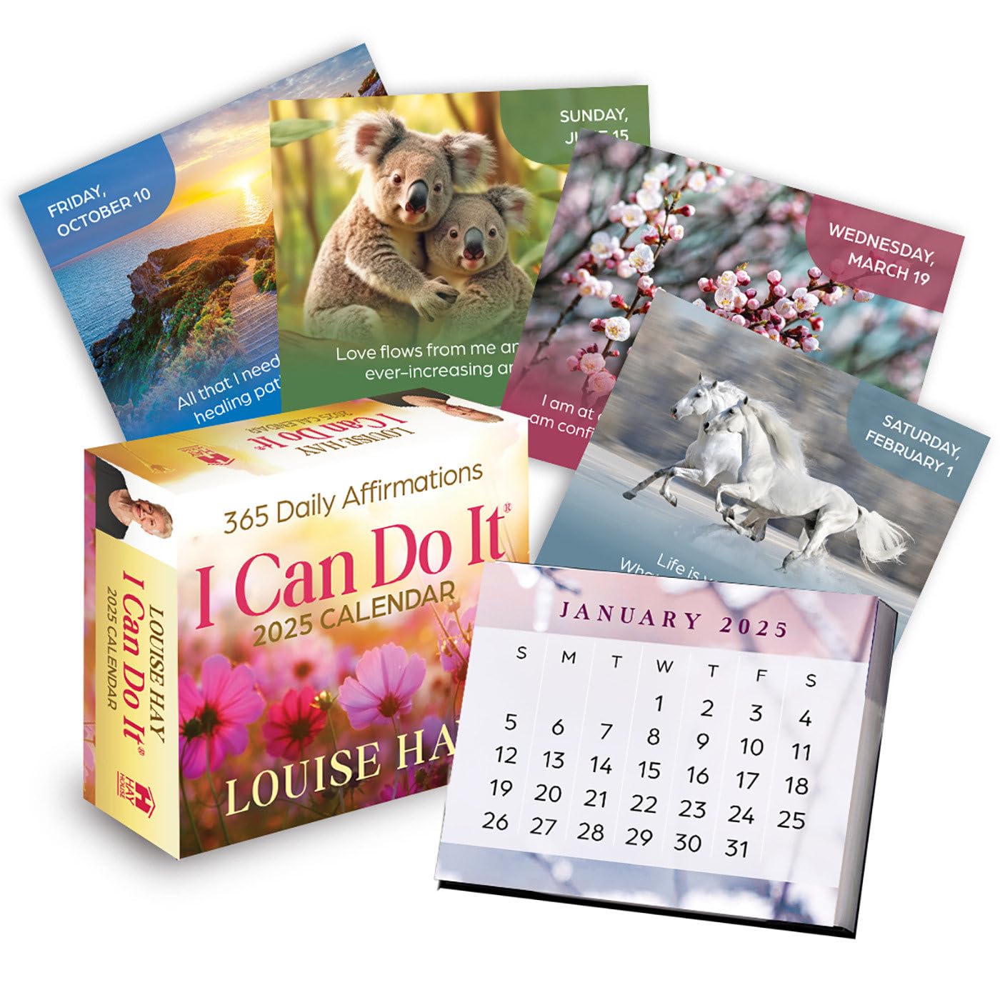 I Can Do Itâ® 2025 Calendar