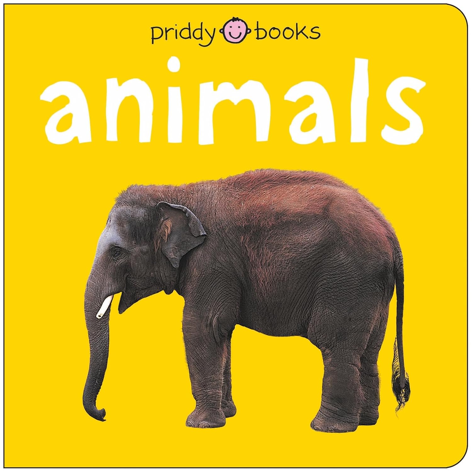 Bright Baby Animals