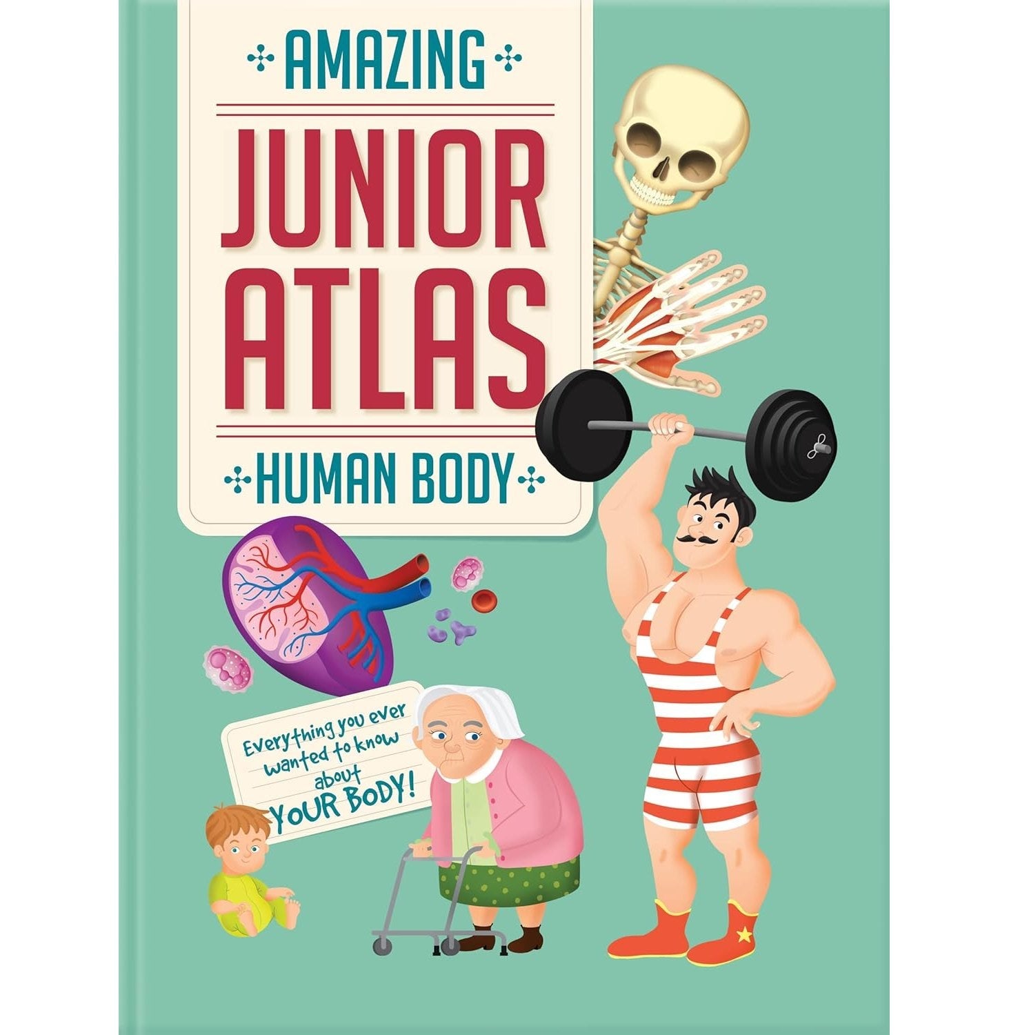 Amazing Junior Atlas Human Body