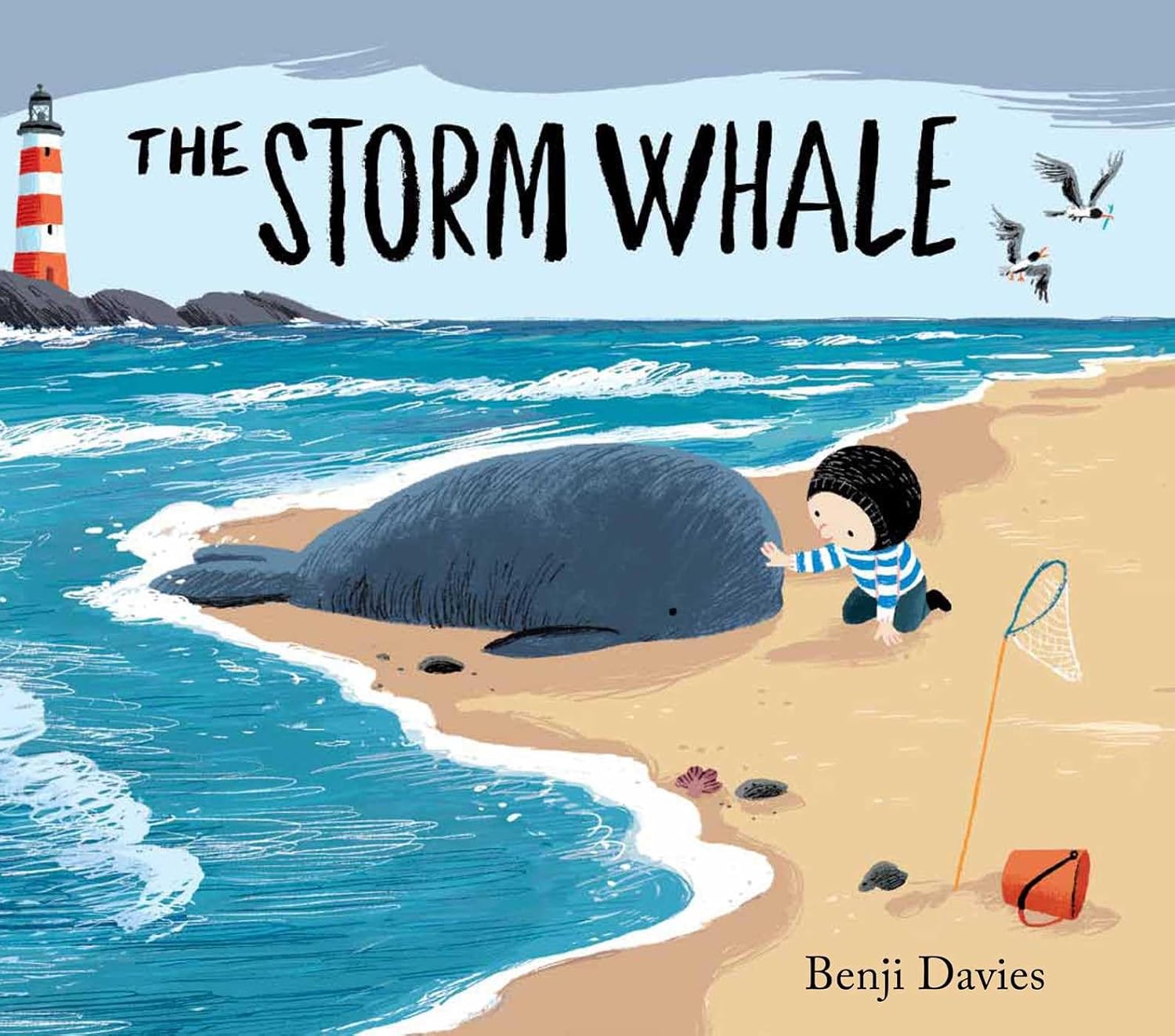 The Storm Whale Pa