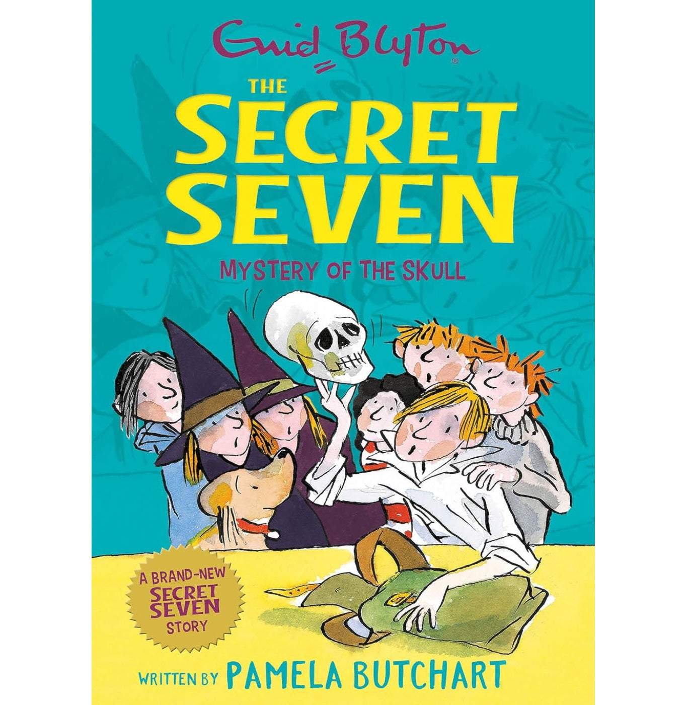 Secret Seven: Mystery Of The Skull