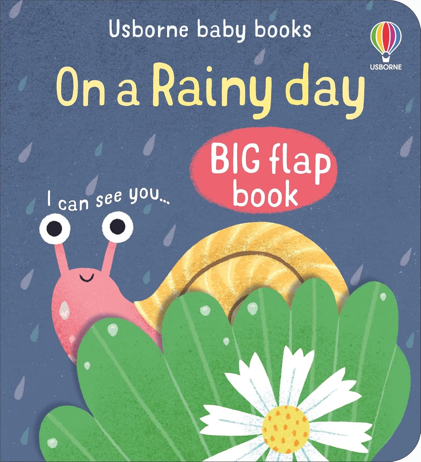 Baby Books Big Flap Book: On A Raindy Day