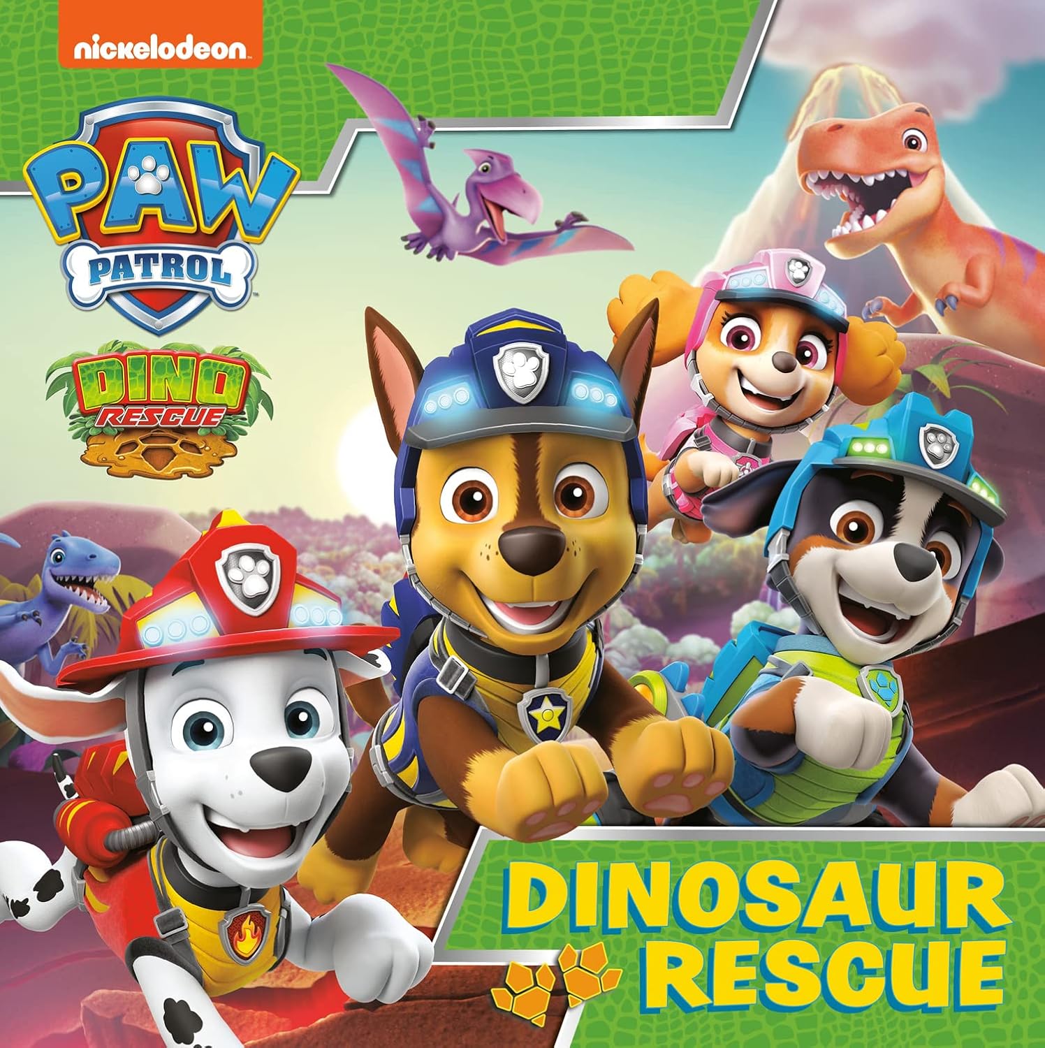 Paw Patrol Picture Book “ Dinosaur Rescue