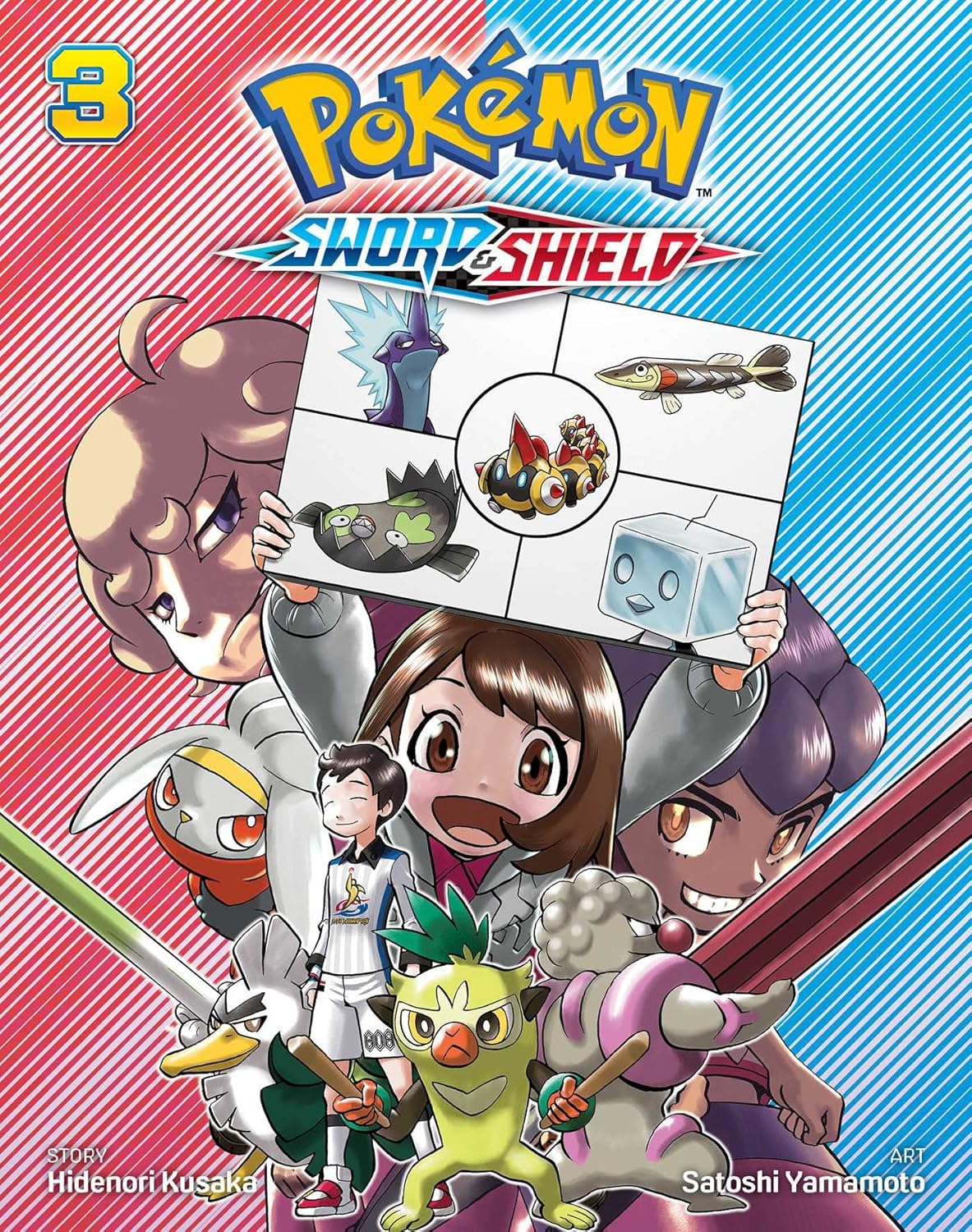 Pokemon Sword & Shield V03 Pa
