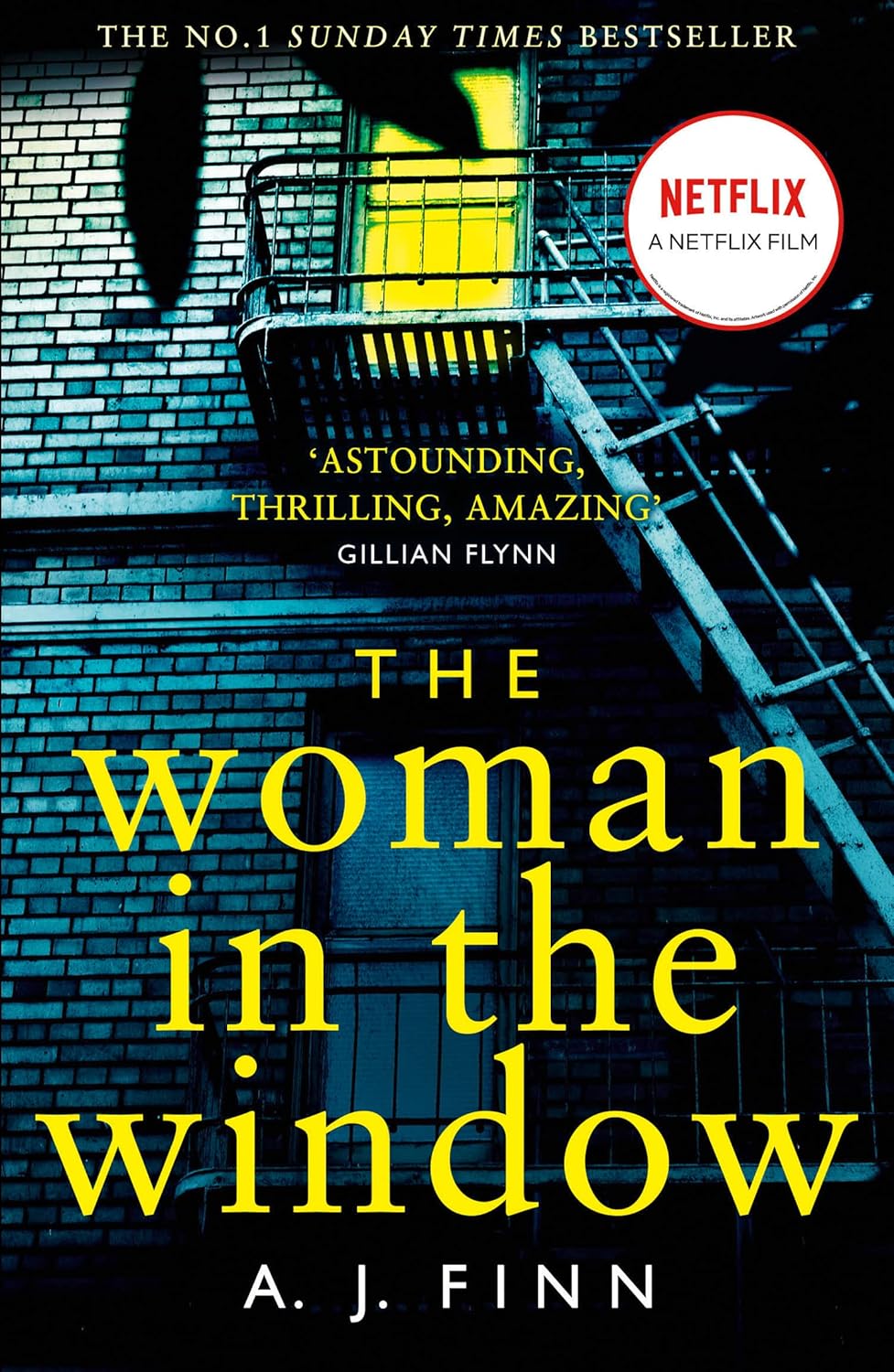 The Woman In The Window