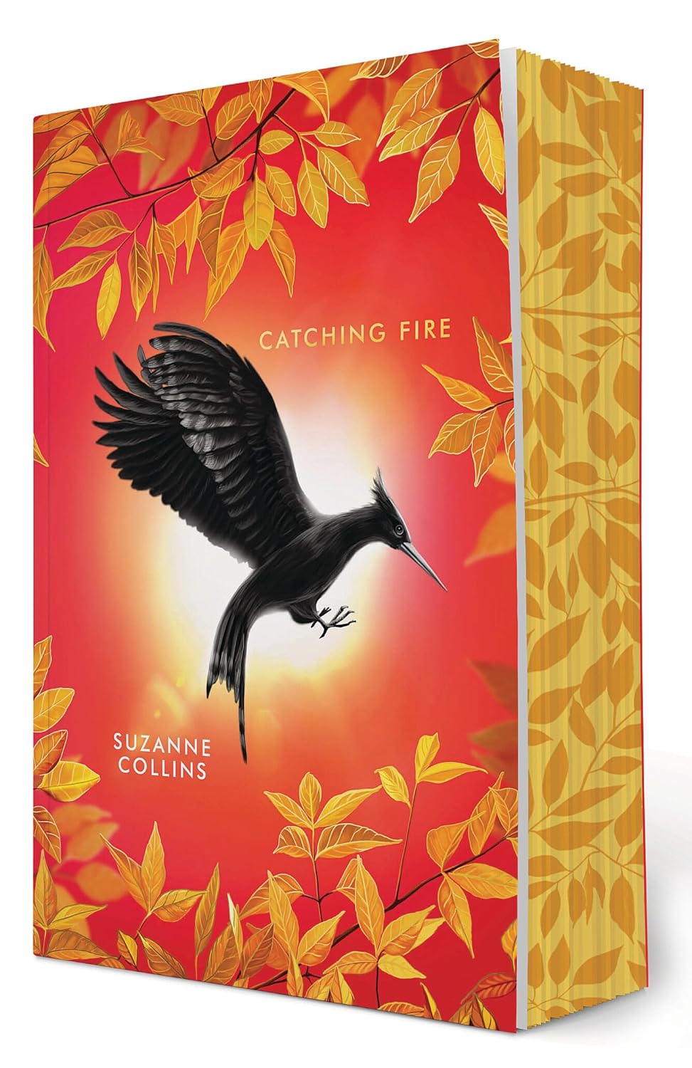 Catching Fire