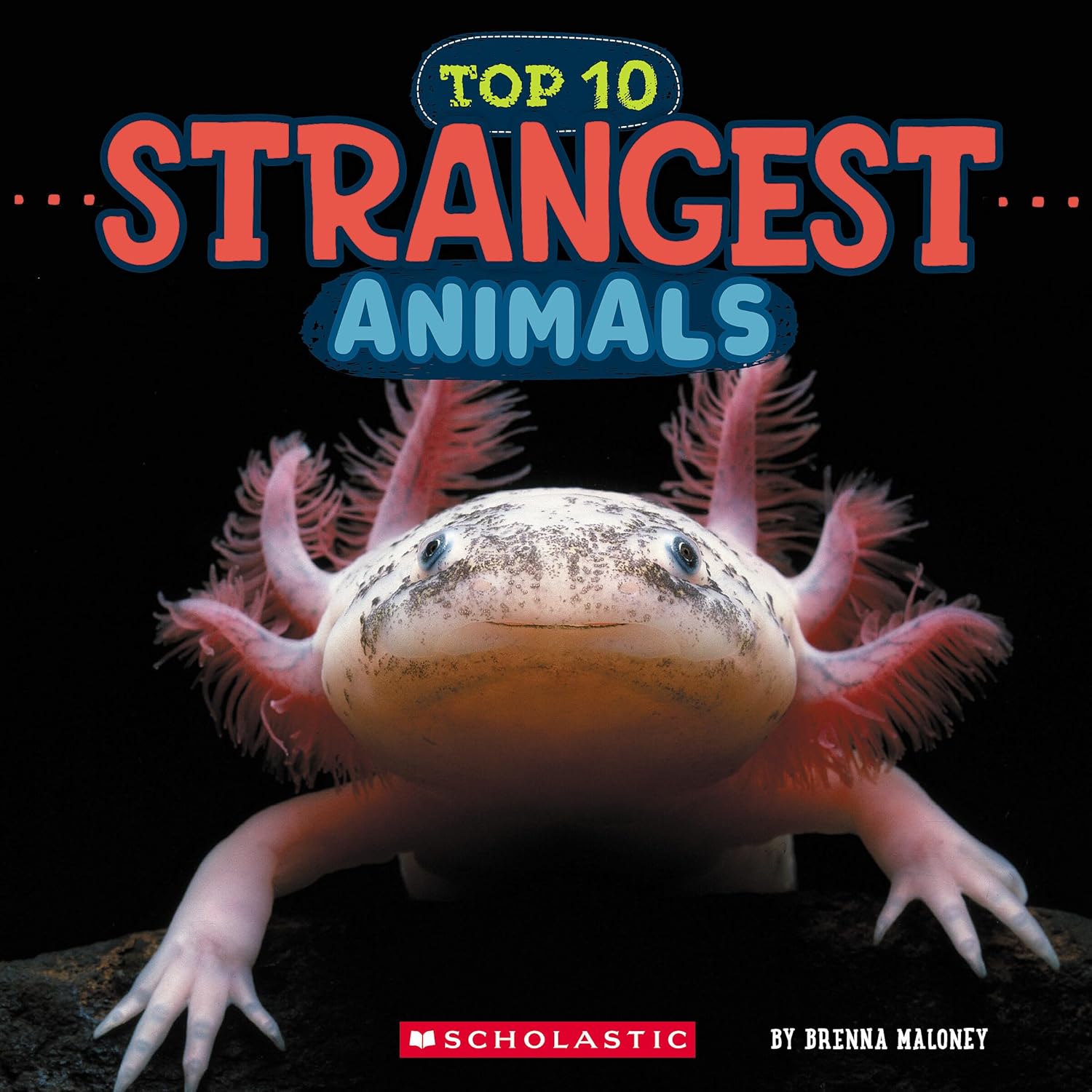 Strangest Animals