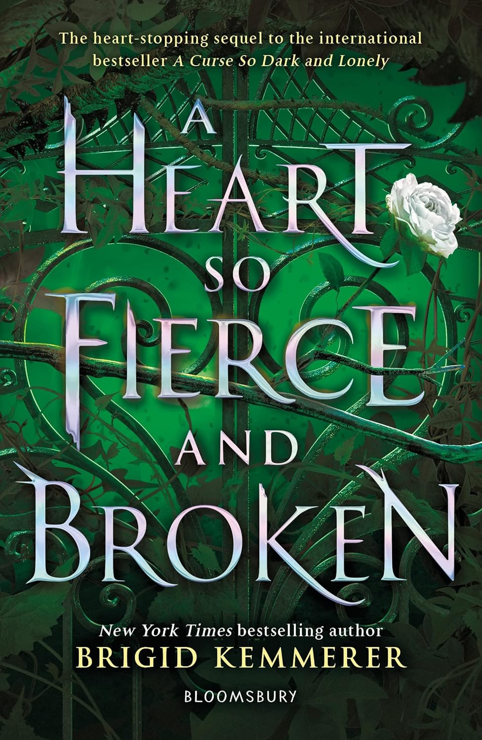 Heart So Fierce And Broken