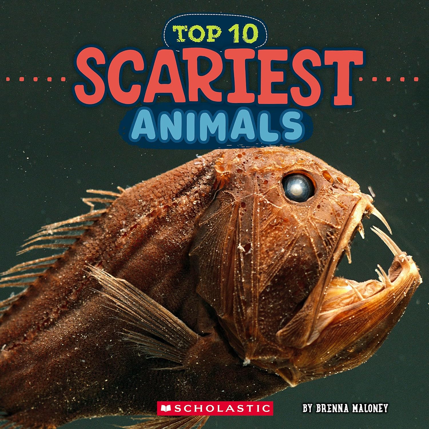 Scariest Animals