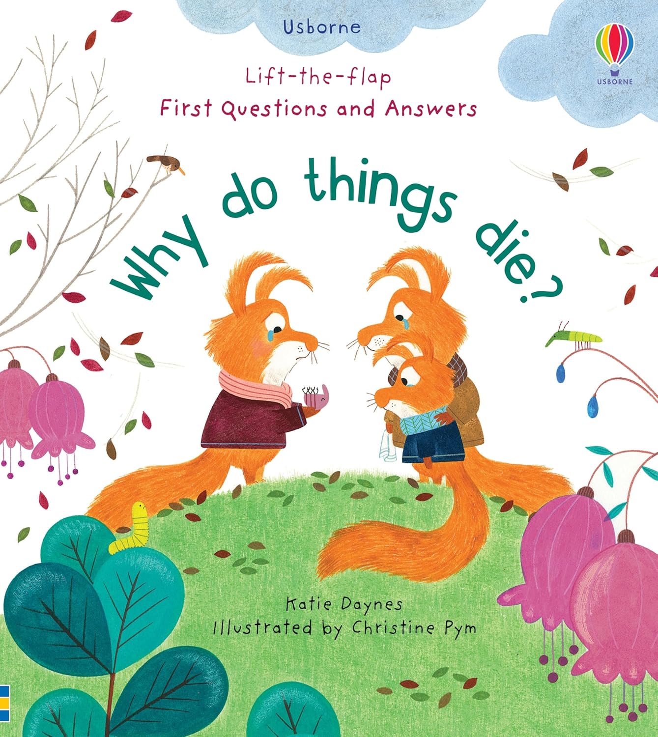 Lift-The-Flap First Questions And Answers Why Do Things Die?