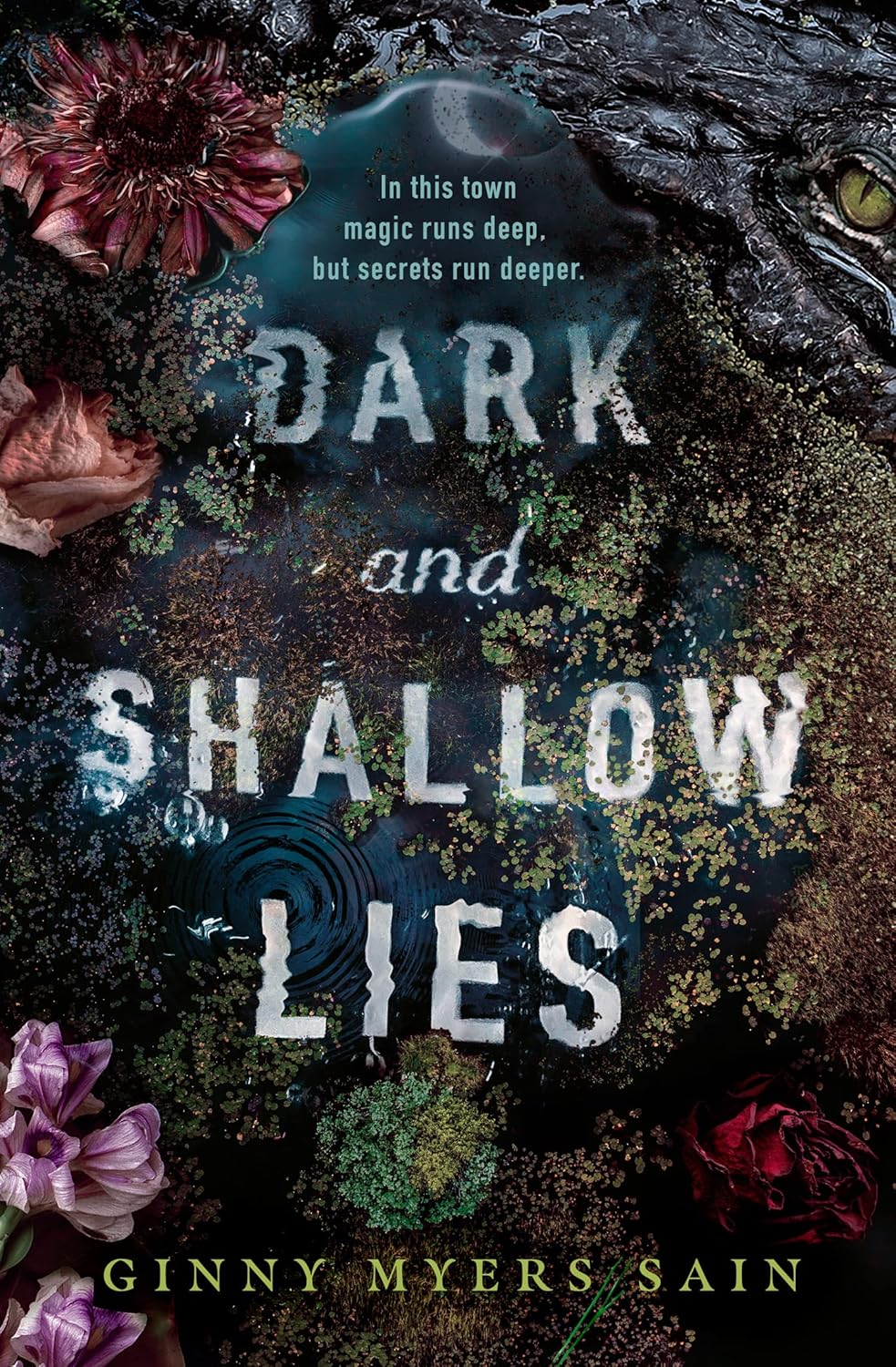 Dark And Shallow Lies