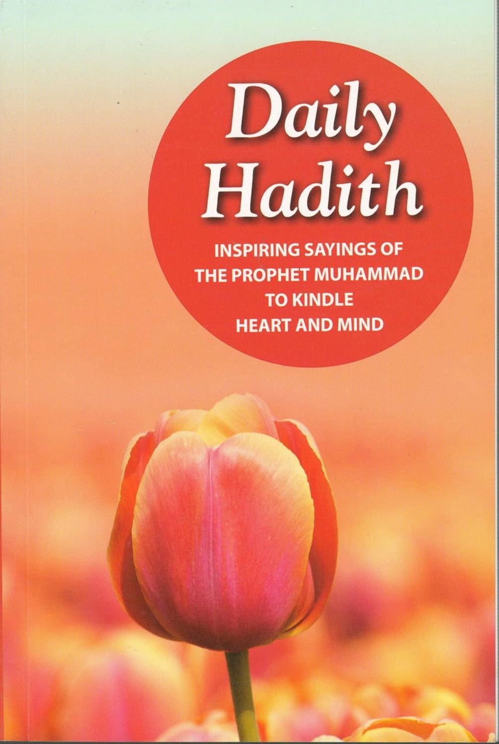 Daily Hadith