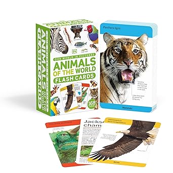 Our World In Pictures: Animals Of The World Flash Cards