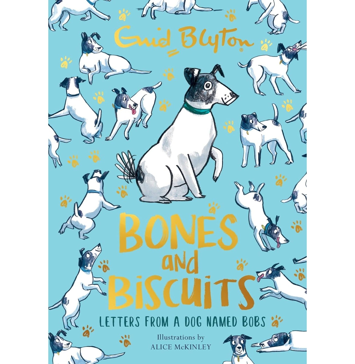 Bones And Biscuits