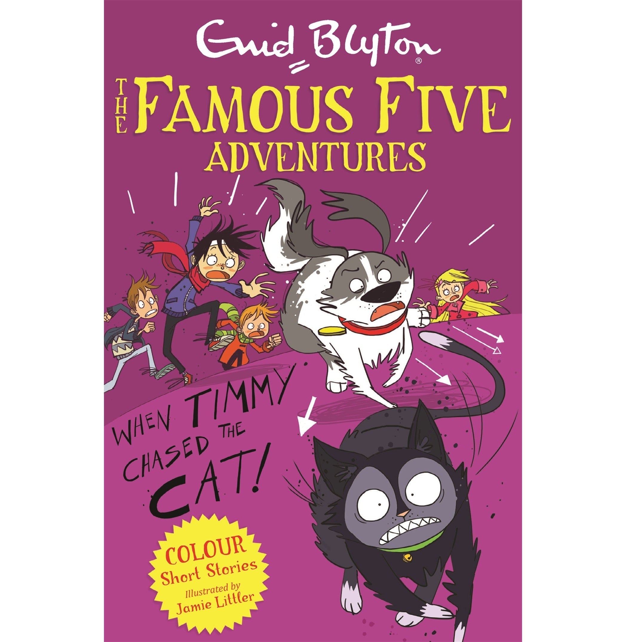 Famous Five Colour Short Stories: When Timmy Chased The Cat