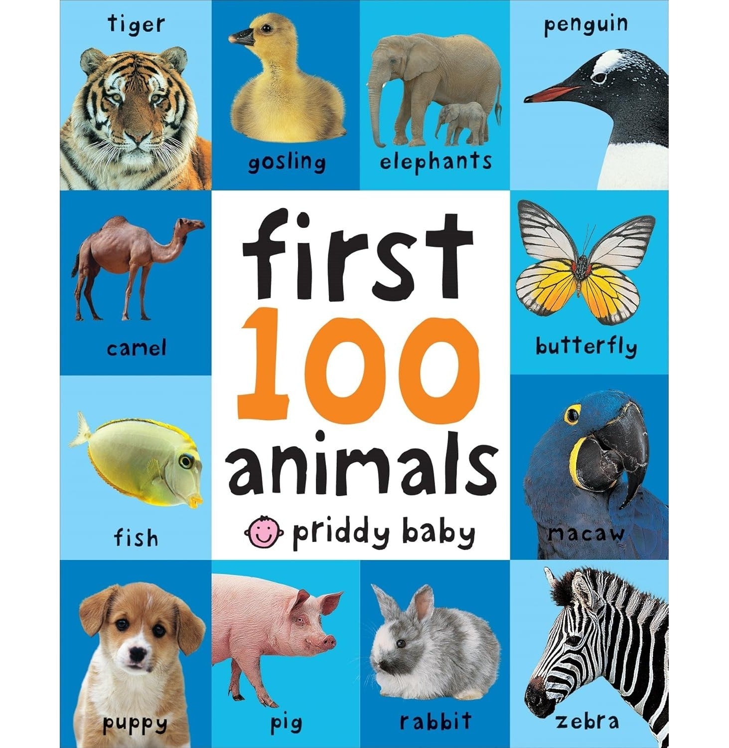 First 100 Animals