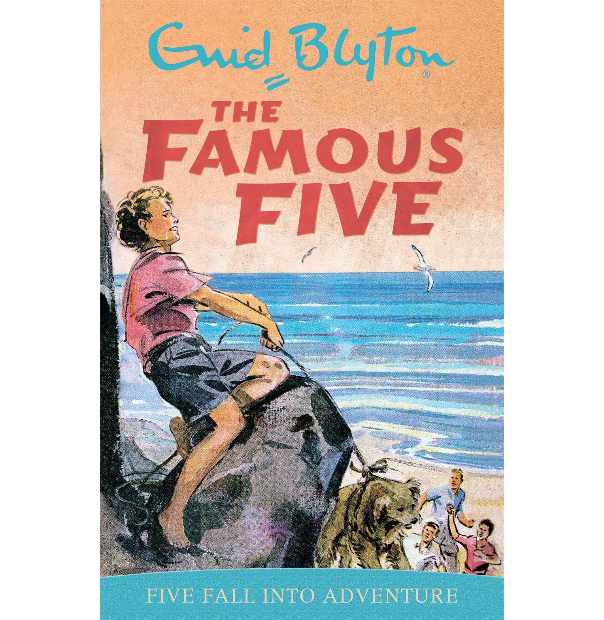 Famous Five: Five Fall Into Adventure
