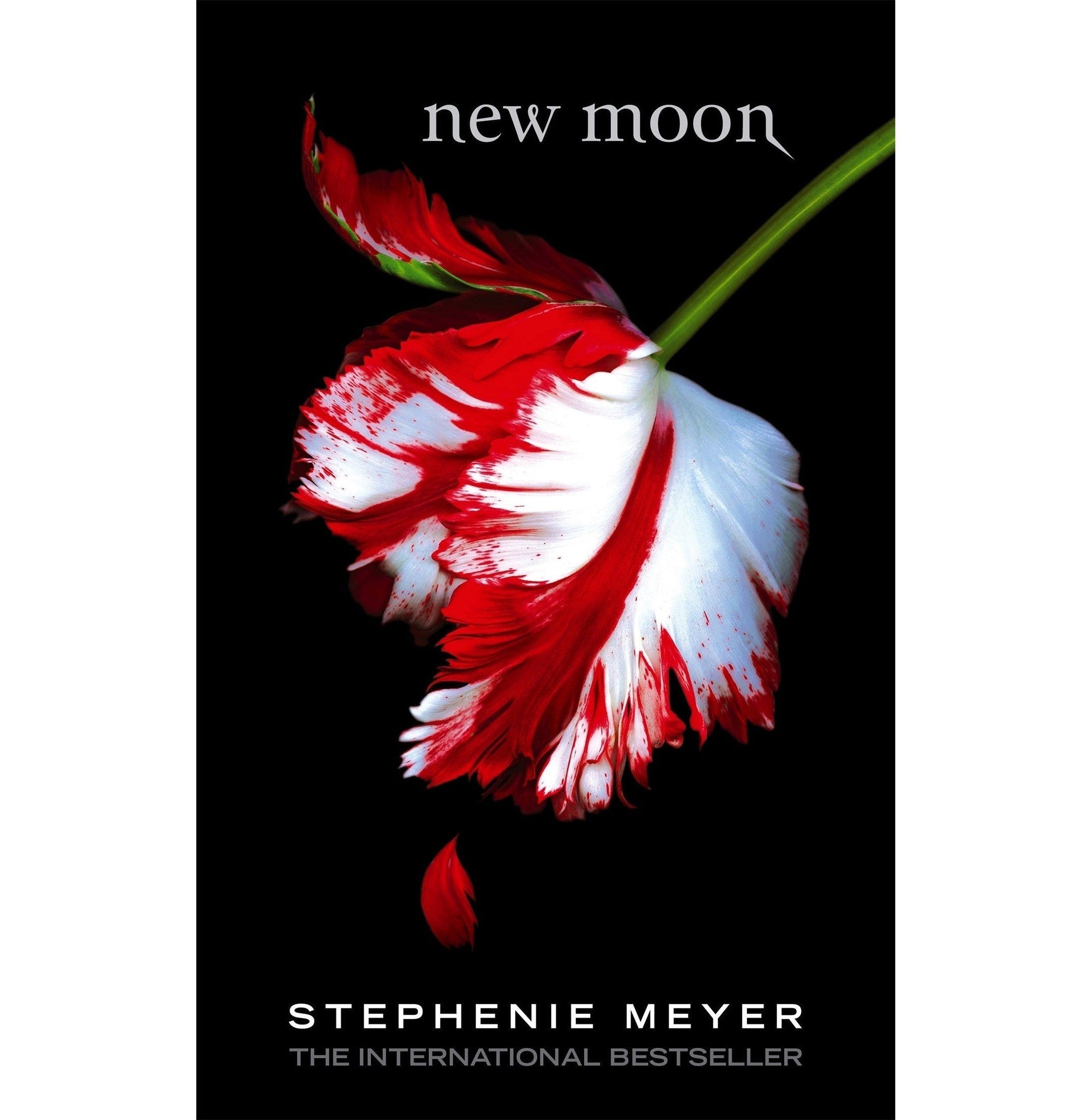 New Moon