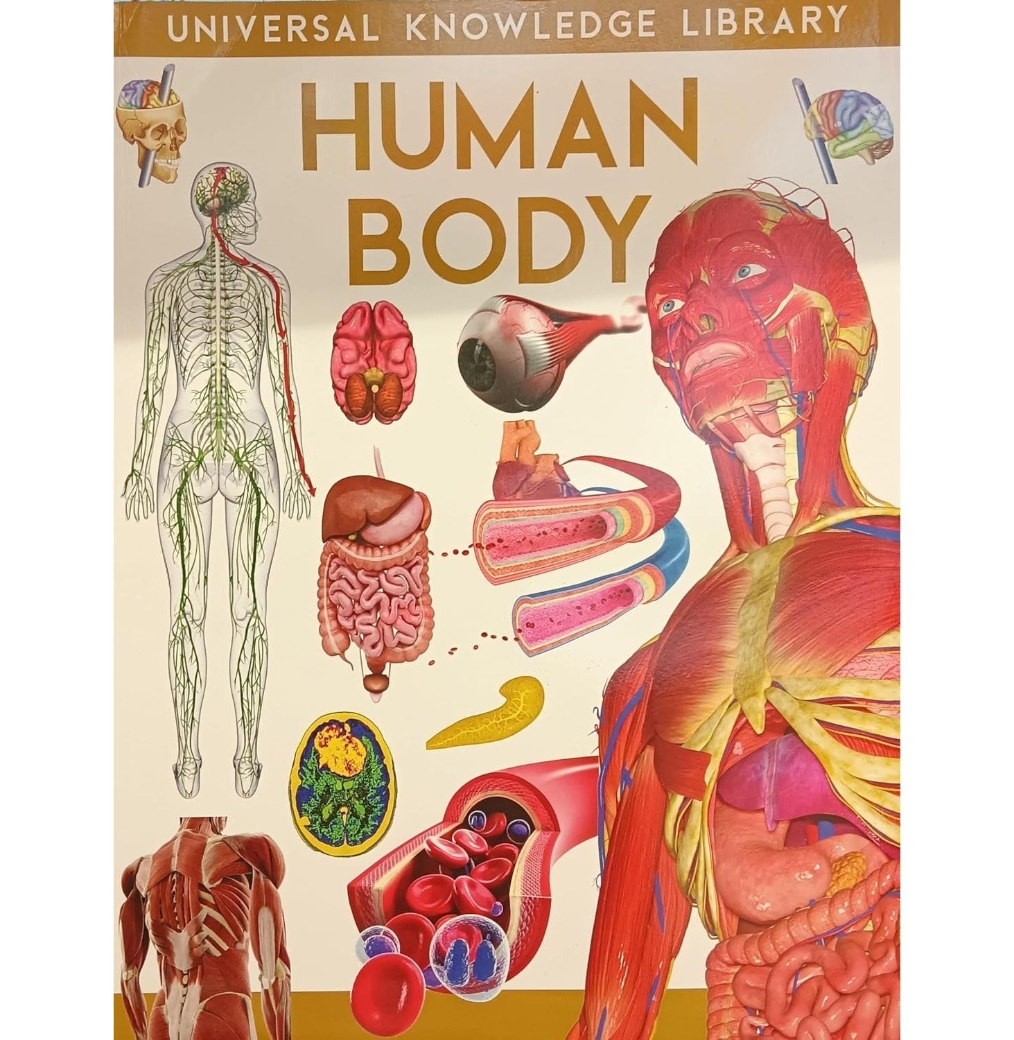 W:Universal Knowledge Library:Human Body