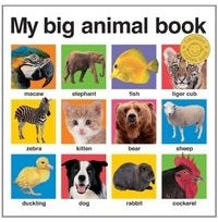 My Big Animal Book