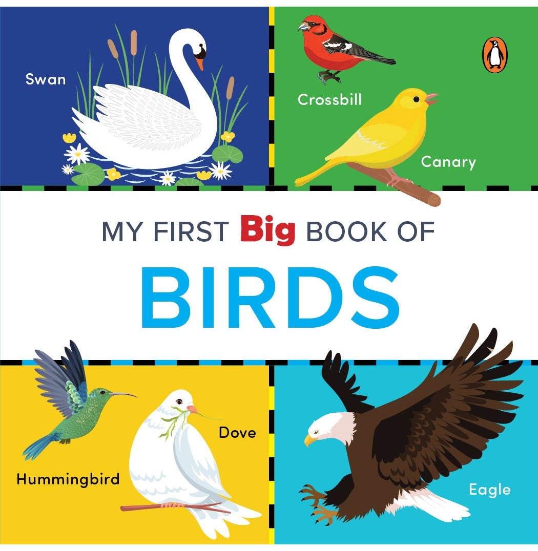 My First Big Book Of Birds