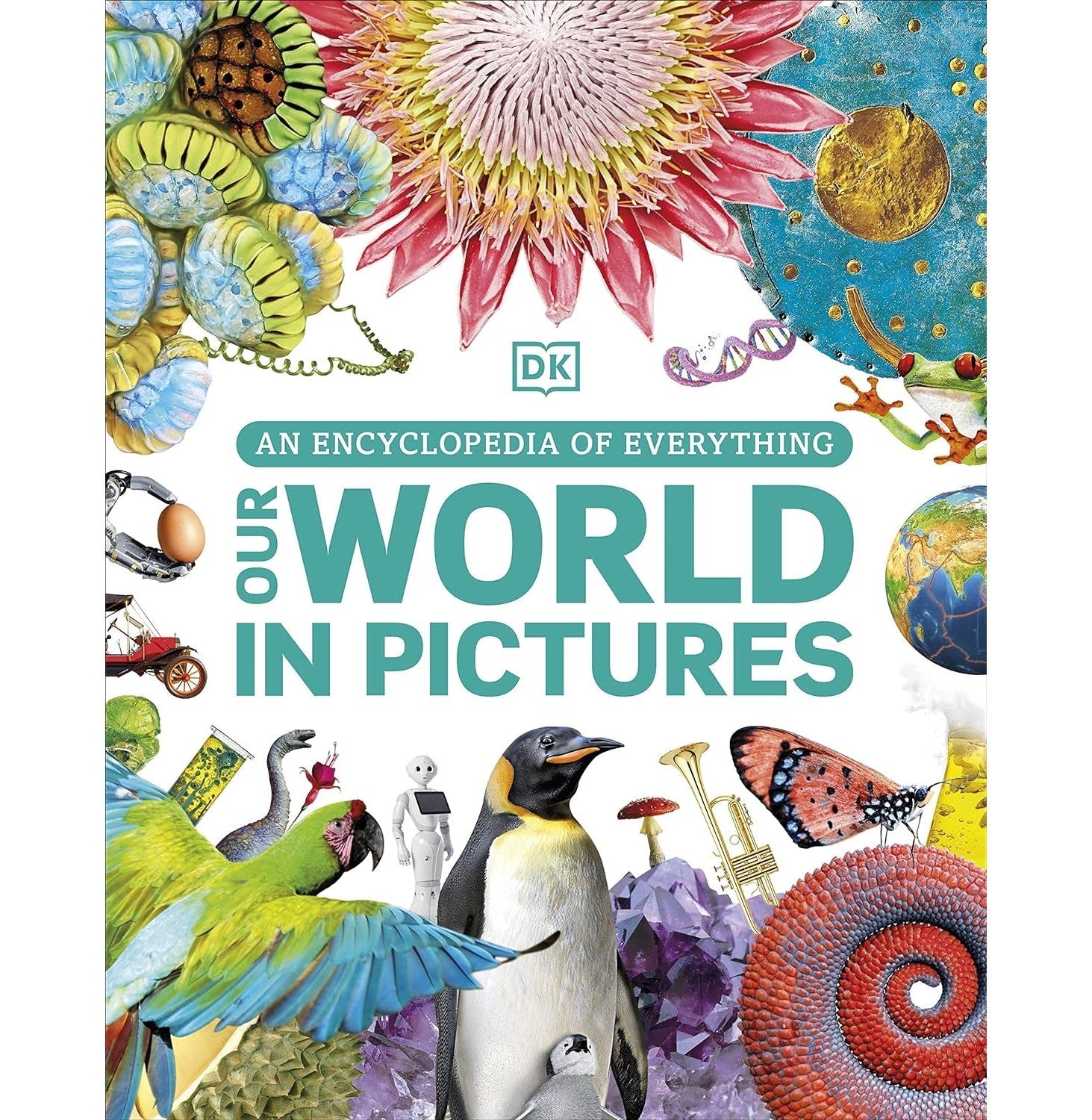 Our World In Pictures