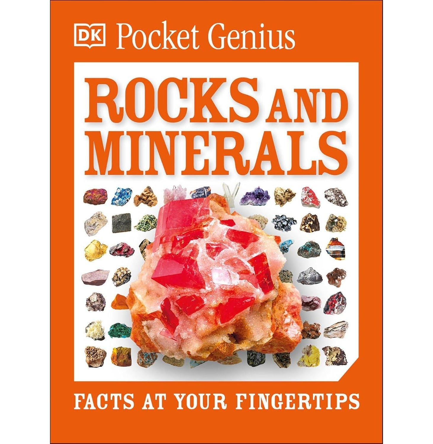Pocket Genius: Rocks And Minerals