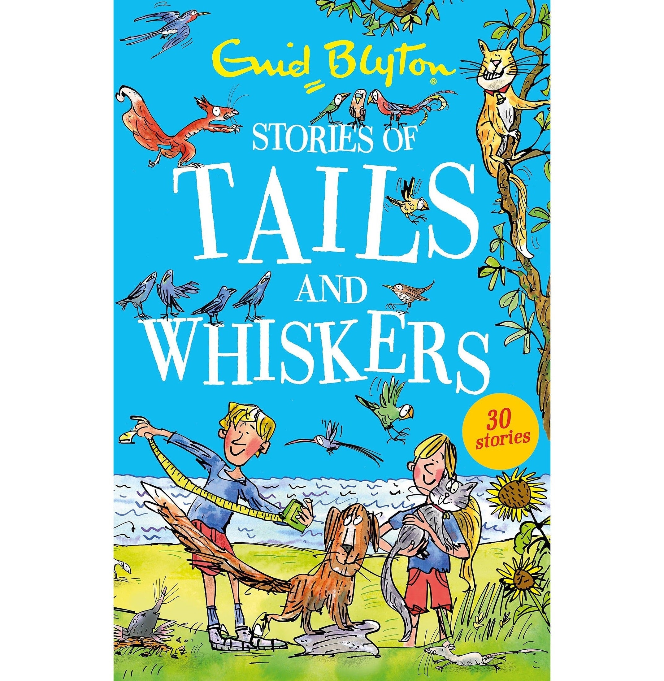 Stories Of Tails And Whiskers