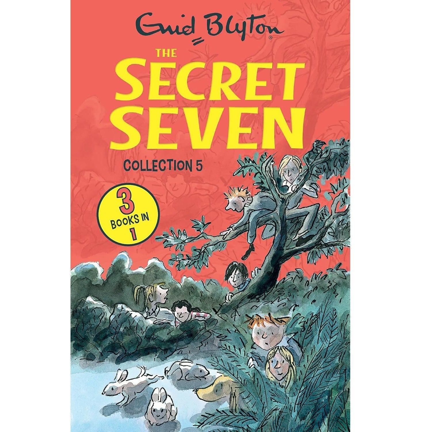 The Secret Seven Collection 5