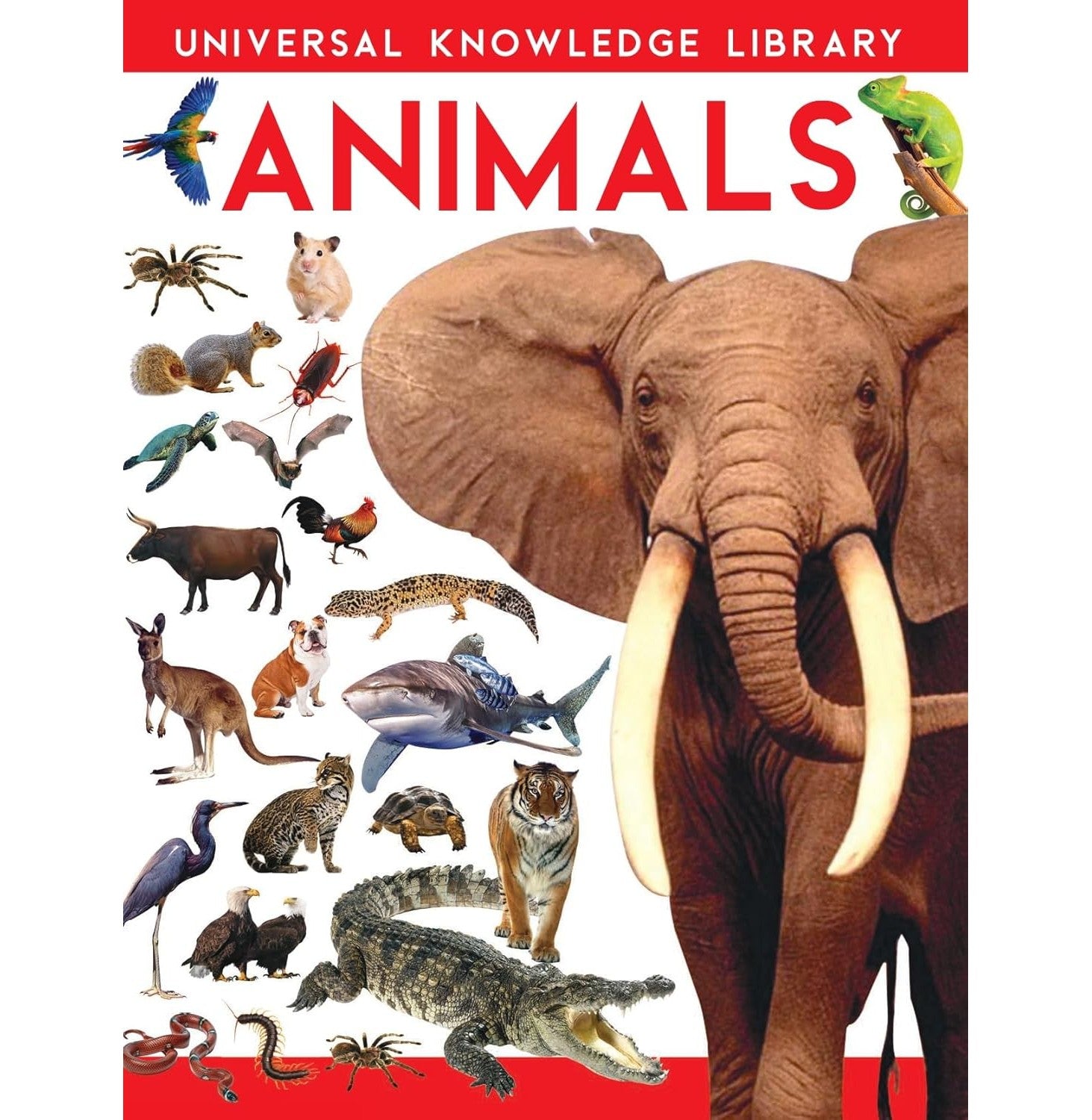 W:Universal Knowledge Library:Animals