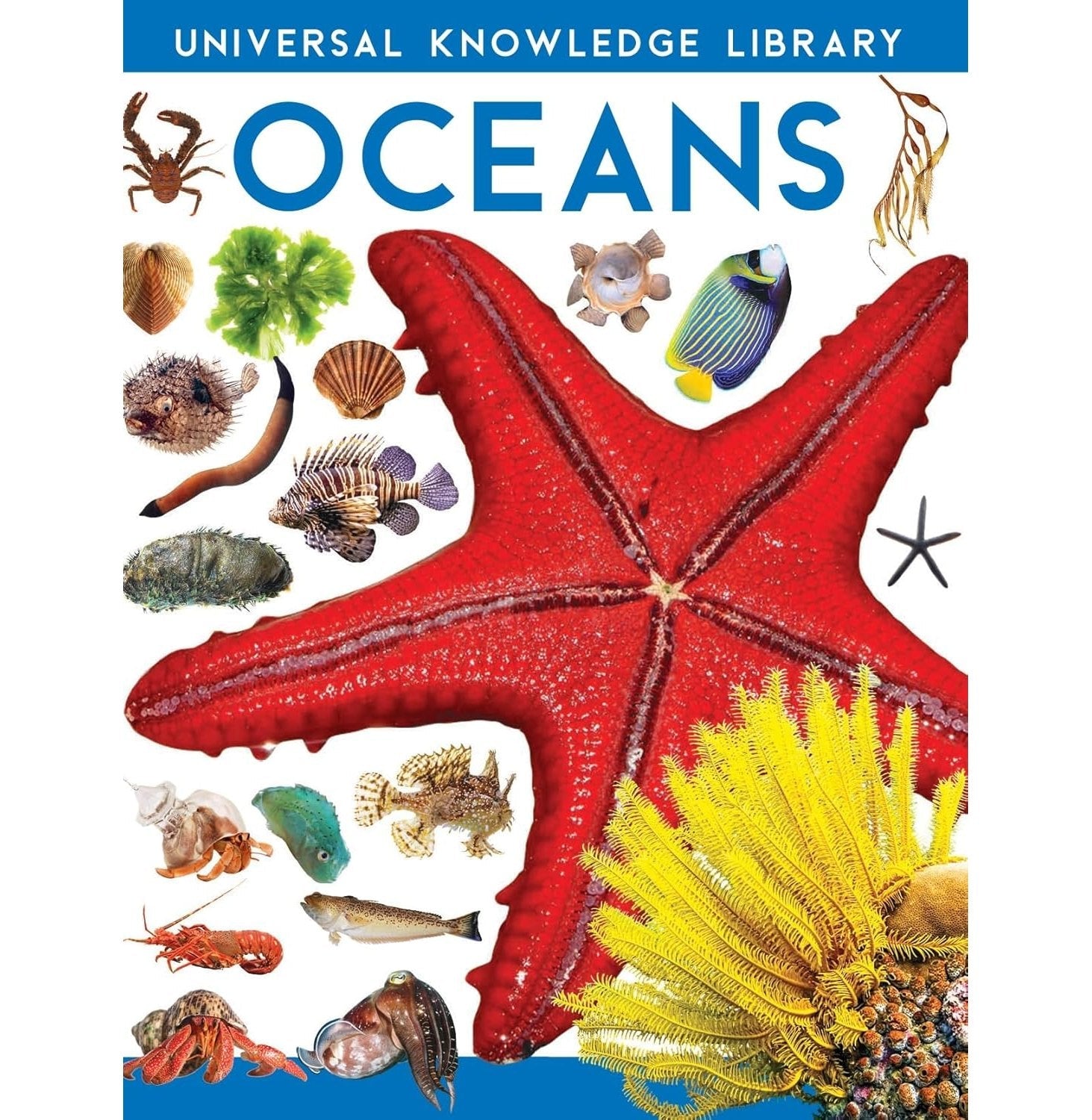 W:Universal Knowledge Library:Oceans