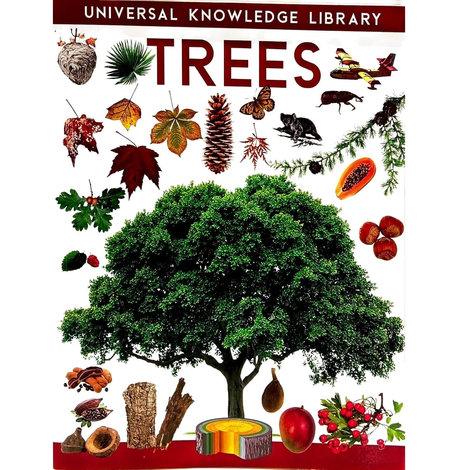 W:Universal Knowledge Library:Trees