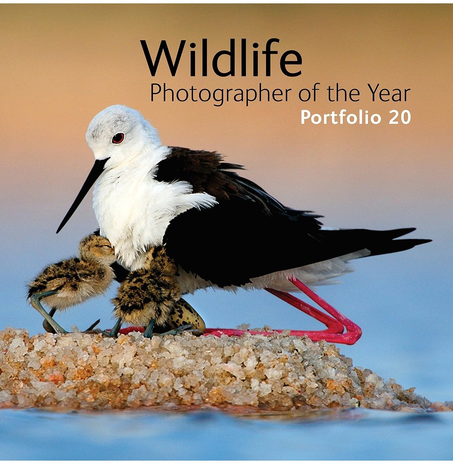 Wildlife Photographer Of The Year: Portfolio 20