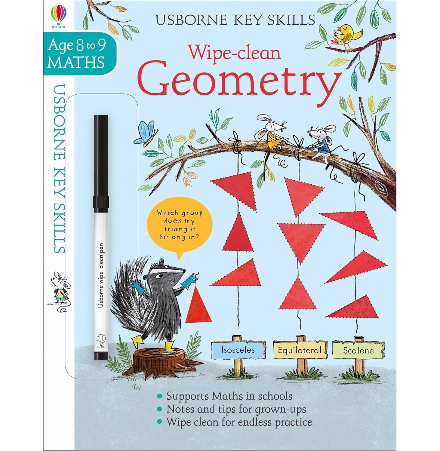 Wipe-Clean Geometry 8-9